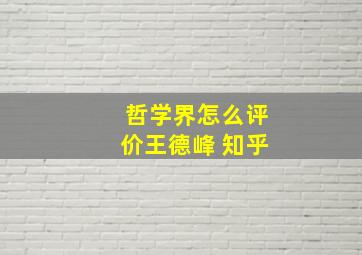 哲学界怎么评价王德峰 知乎